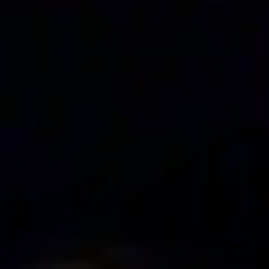 Meet your Posher, Maddy